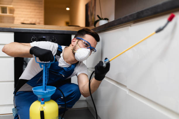 Best Pest Inspection Near Me  in Crossett, AR