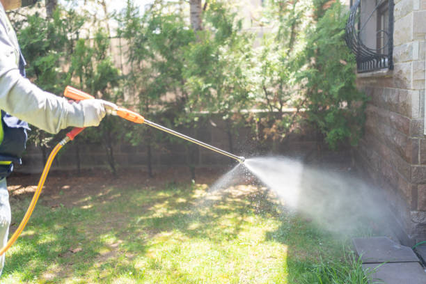 Best Pest Removal Services  in Crossett, AR