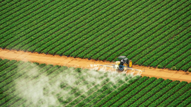 Best Emergency Pest Control  in Crossett, AR