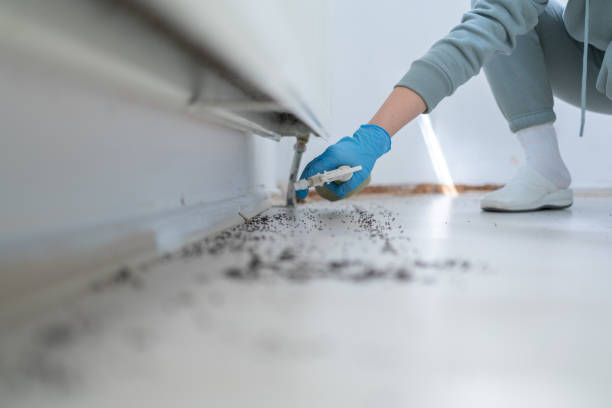 Best Exterminator Services  in Crossett, AR